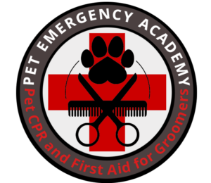 Emergency Academy logo